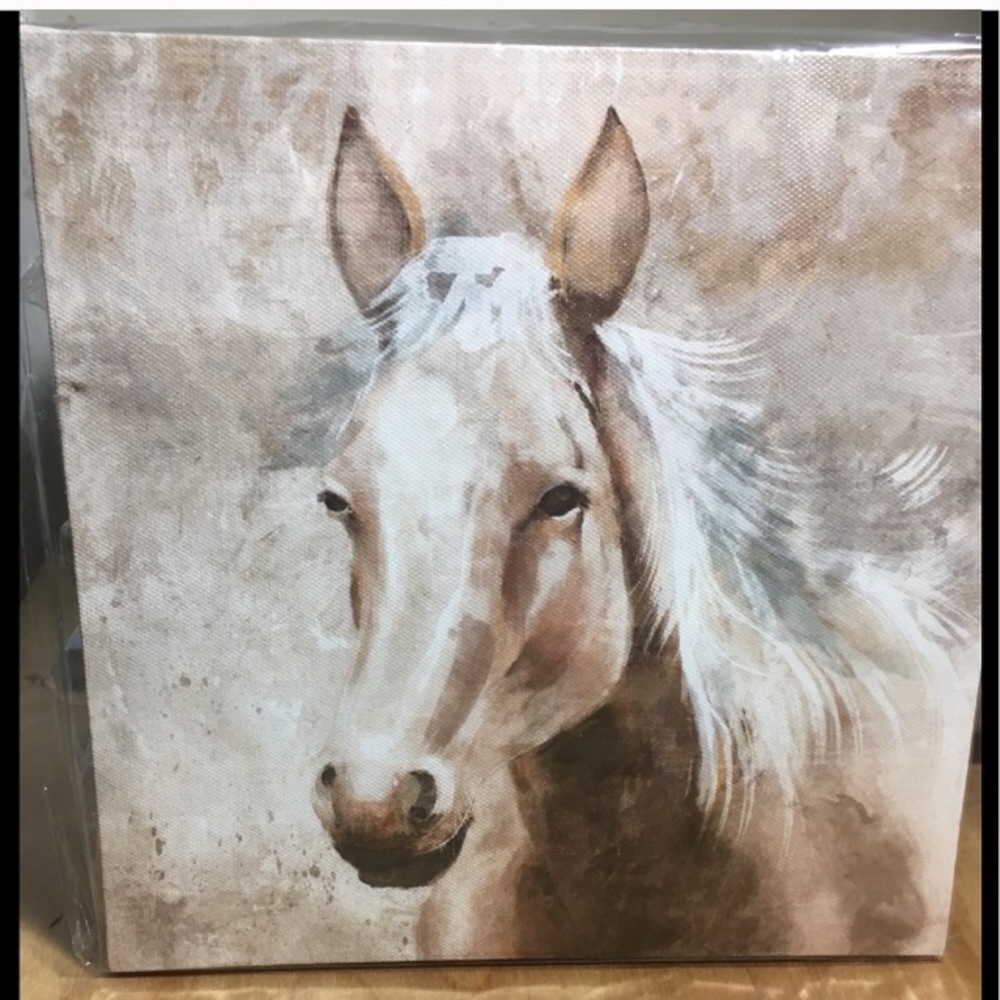 Beautiful Horse Canvas Art